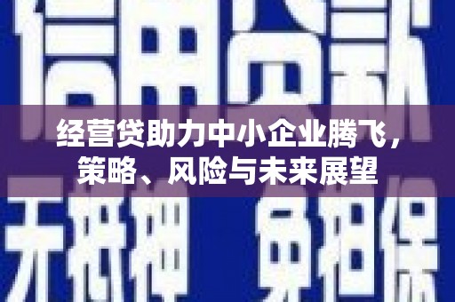椒江经营贷助力中小企业腾飞，策略、风险与未来展望