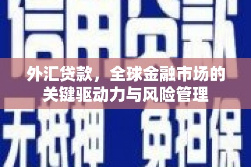 椒江外汇贷款，全球金融市场的关键驱动力与风险管理