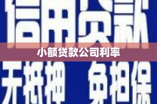 椒江小额贷款公司利率