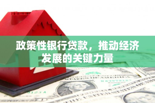 椒江政策性银行贷款，推动经济发展的关键力量