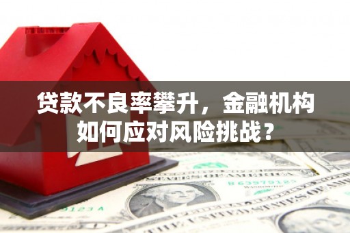 椒江贷款不良率攀升，金融机构如何应对风险挑战？