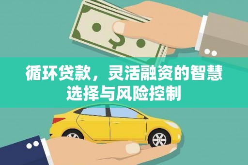 椒江循环贷款，灵活融资的智慧选择与风险控制