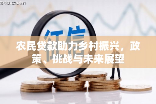 椒江农民贷款助力乡村振兴，政策、挑战与未来展望