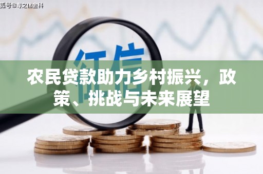椒江农民贷款助力乡村振兴，政策、挑战与未来展望