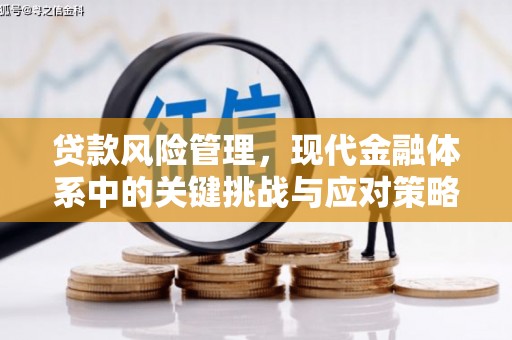 椒江贷款风险管理，现代金融体系中的关键挑战与应对策略