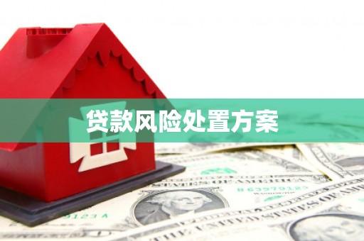 椒江贷款风险处置方案